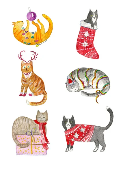 Christmas cats set on white background — Stock Photo, Image