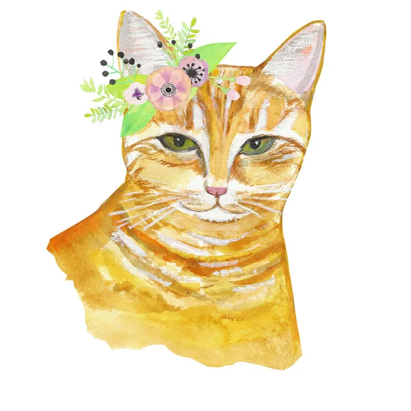 Red cat portrait with flowers — Stock Photo, Image