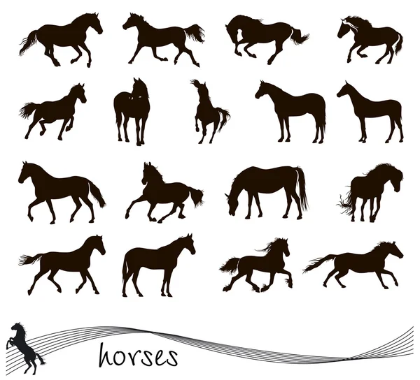 Vector silhouettes of horses — Stock Vector