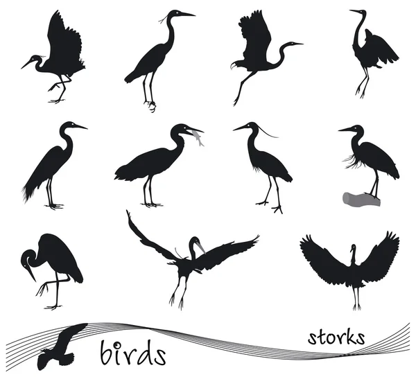 Векторная коллекция силуэтов аистов — стоковый вектор