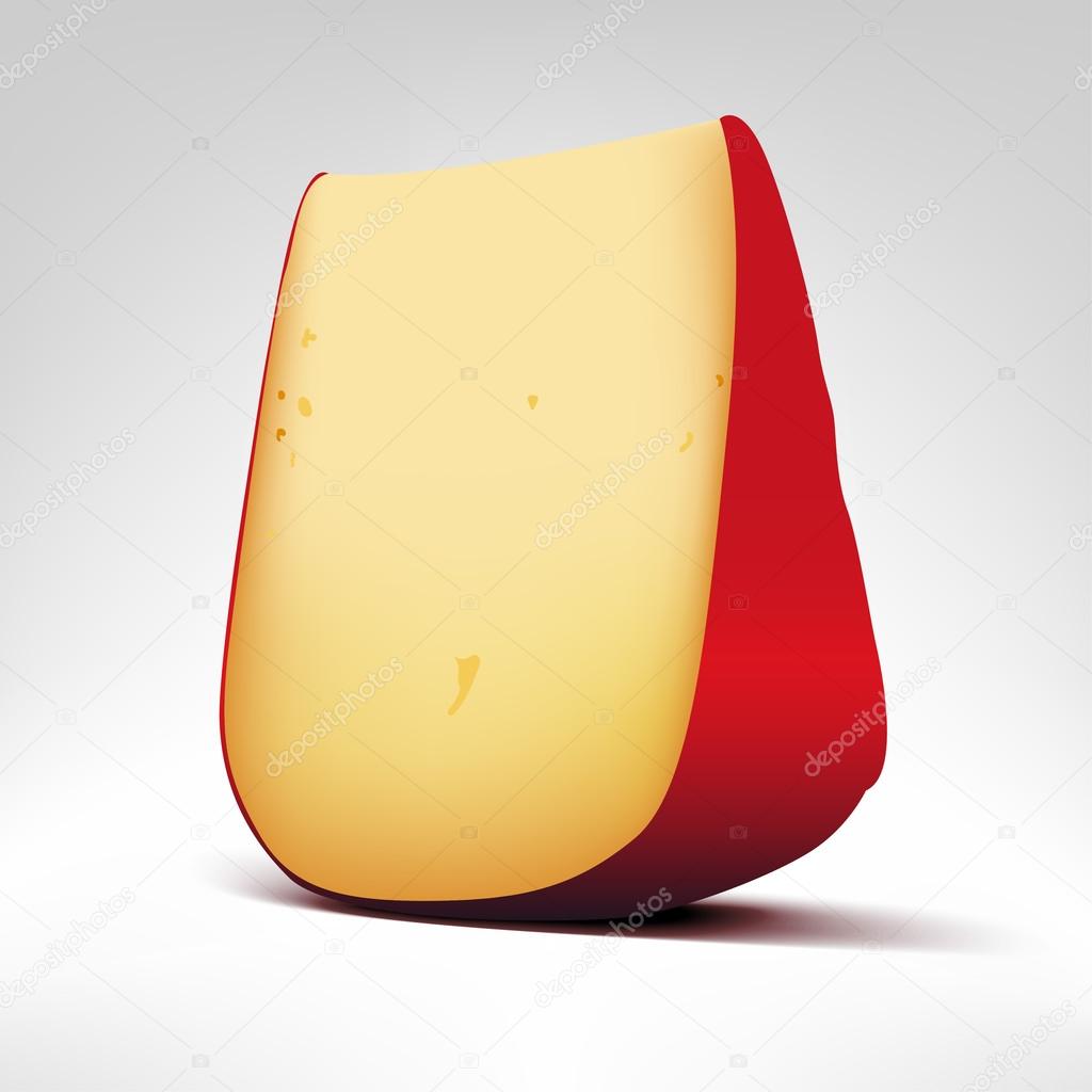 Gouda cheese illustration