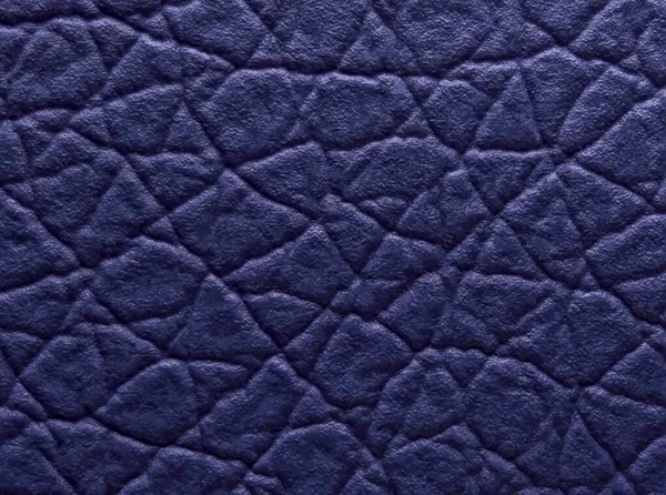 Niebieska skóra tekstura powierzchni przy ekstremalnym powiększeniu — Zdjęcie stockowe