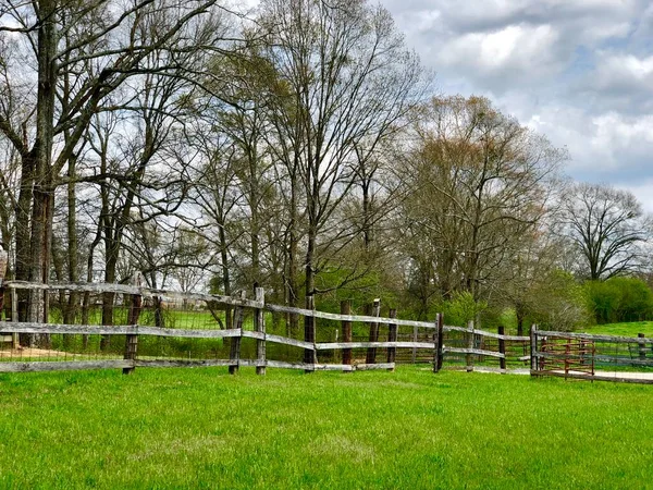 Grön Betesmark Och Trädlängder Längs Staket — Stockfoto