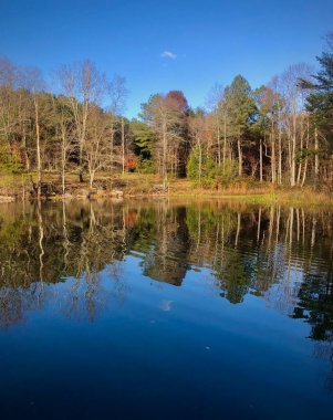 Bear Creek Vahşi Yaşam Gündüzleri balıkçı havuzunu korur 