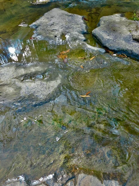 Flowing Stream Leaves Ripples Eddies — Stock Photo, Image