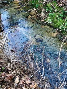Zaman içinde akan temiz akarsu yıpranmış kaya yatağı