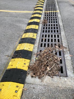 Yapraklar ve çam iğneleriyle tıkanmaya başlıyor. 