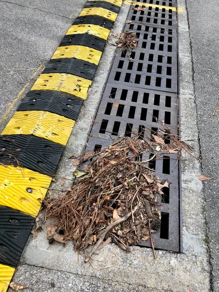Storm drain by speed bump starting to clog with leaves and pine needles