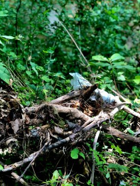Nehirdeki plastik ve diğer çöp yığınları