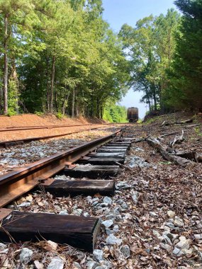 Terk edilmiş terk edilmiş demiryolu rayları güneşli kırlarda 