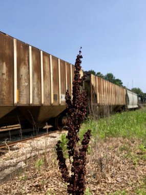 Terk edilmiş terk edilmiş demiryolu rayları güneşli kırlarda 