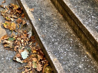 Güneş ışığı, gölgeler, düşen yapraklar ve plastik çöplerle beton basamaklara yakın.