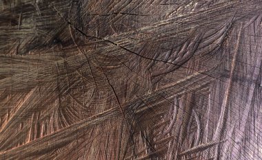 Çatlak ve testere izleriyle ağaçtan kesilmiş bir testere. Arkaplan.