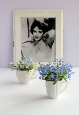 Forget-me-nots. Still life with flowers and portrait of Elizabeth Taylor. High key. Blurred background.