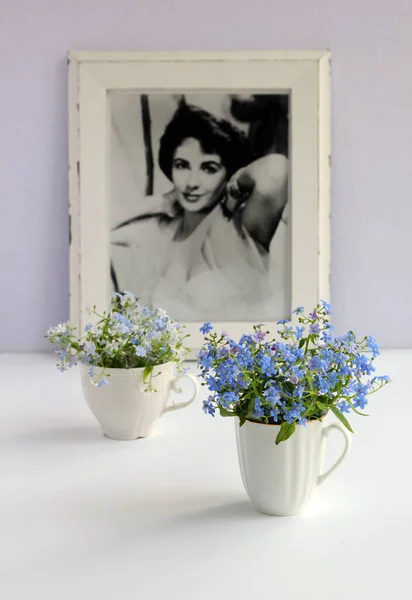 Forget-me-nots. Still life with flowers and portrait of Elizabeth Taylor. High key. Blurred background. Fotos de stock libres de derechos