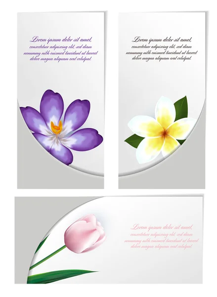 Zbiór kwiatów broszurę projektu — Wektor stockowy