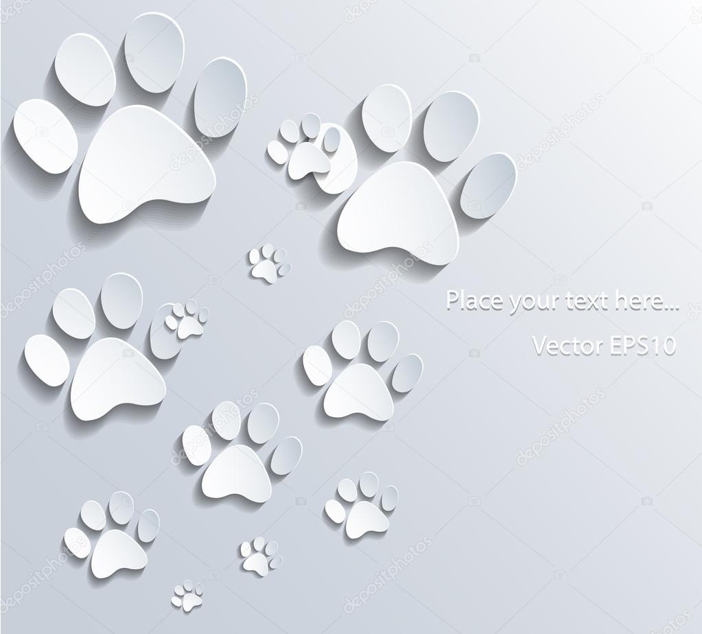 Cat paws background.