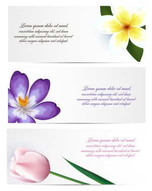 Çiçek broşür tasarım