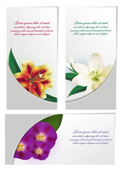 Conjunto de diseño de folleto de flores — Archivo Imágenes Vectoriales