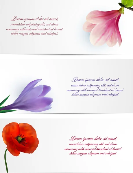 Set di modelli di fiori — Vettoriale Stock