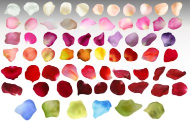 Gerçekçi yaprakları büyük kümesi