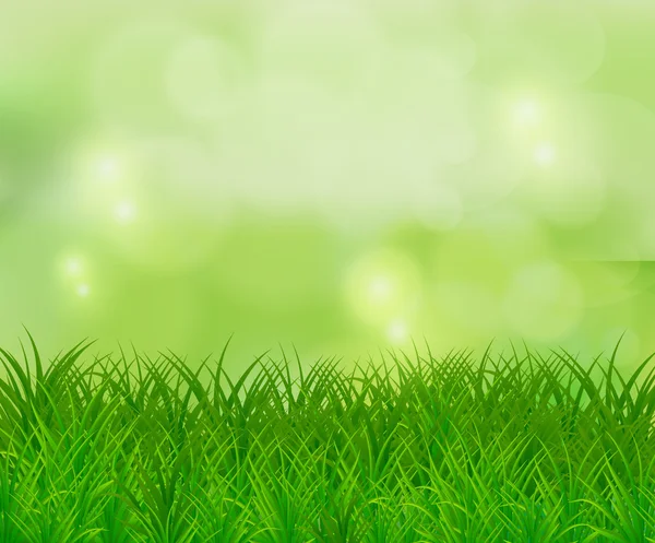 Fundo de primavera com grama —  Vetores de Stock