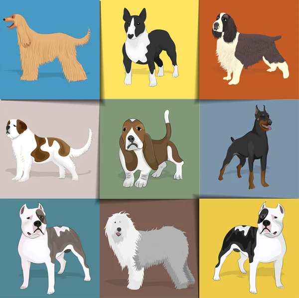 Set de perros con fondo cuadrado — Vector de stock