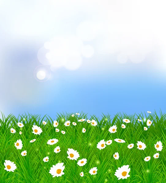 Spring background illustration — Stock Vector