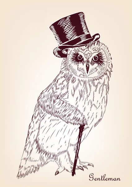 Hibou vintage drôle dessiné à la main — Image vectorielle