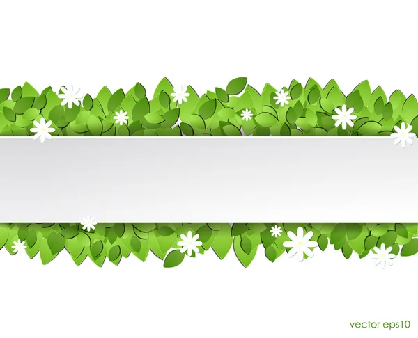 Folhas verdes de papel com flores brancas —  Vetores de Stock