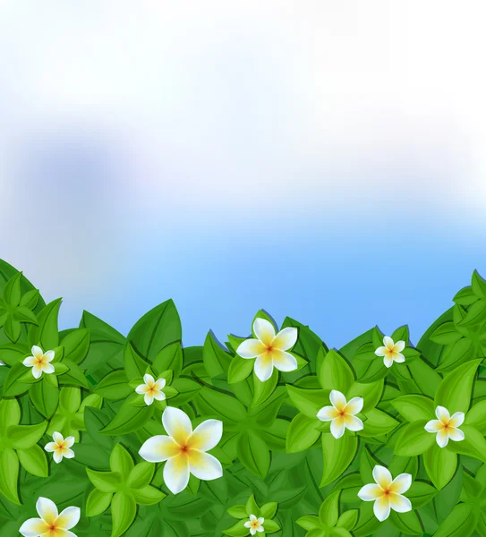 Folhas verdes e flores brancas fundo — Vetor de Stock