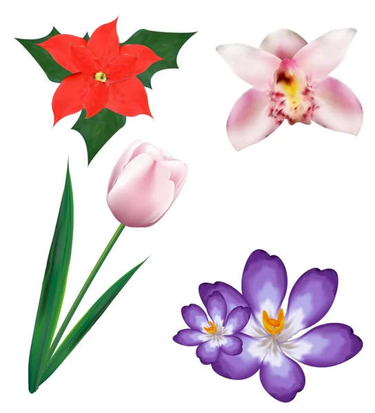 Set of realistic flowers — Stock Vector