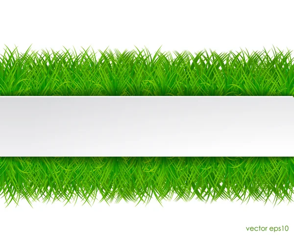 Grama verde fresca com adesivo branco —  Vetores de Stock