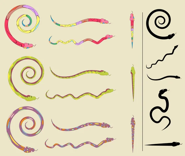 Renkli yılan fırçaları kümesini Vektör Grafikler