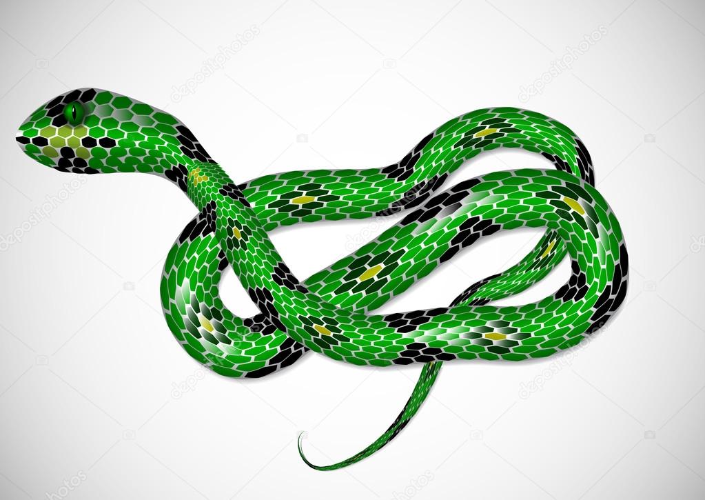 Realistic green snake