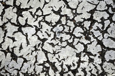 küçük çatlak, çatlama asfalt yol
