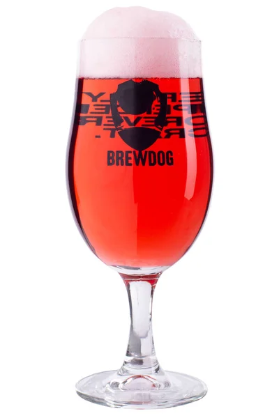 Dnipro Ucraina 2020 Bicchiere Tulipano Birra Brewdog Raspberry Blitz Isolato — Foto Stock