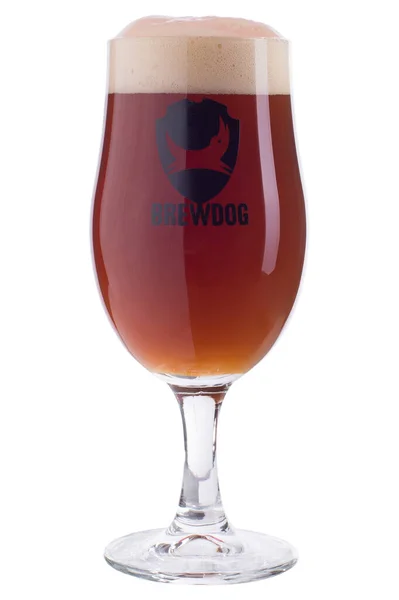 Dnipro Ucraina 2020 Bicchiere Tulipano Brewdog Birra Scura Isolato Bianco — Foto Stock