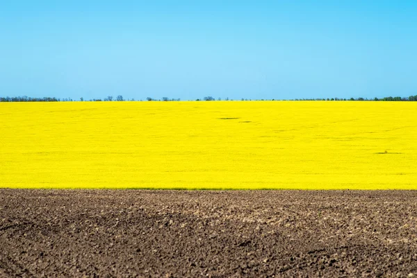 Campos — Fotografia de Stock