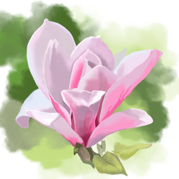 Розовый цветок на зеленом фоне Стоковое Фото