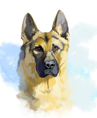 bir köpek