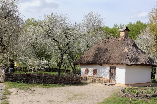 Oekraïens oud aarden huis met een tuin en bloeiende bomen — Stockfoto