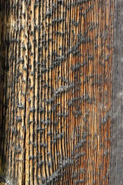 Tablones de madera cortados de madera — Foto de Stock