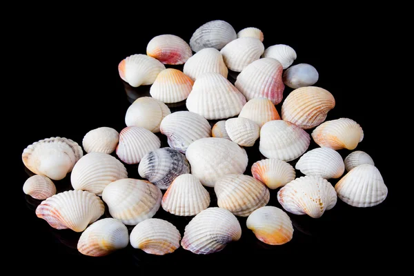 Seashells on the sand in the form of heart — Stock Photo, Image