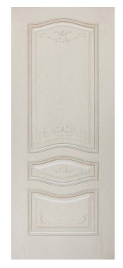 Ev için modern kapılar