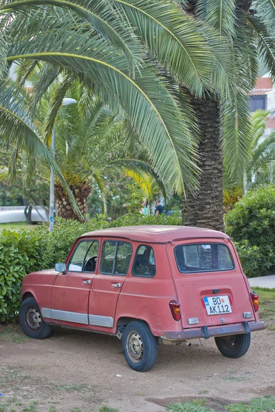 Old car parked near palm trees — Stock Photo, Image