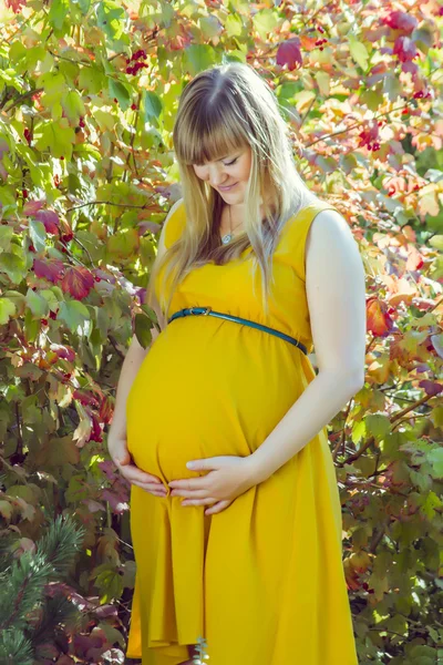 Hermosa chica embarazada en la naturaleza —  Fotos de Stock