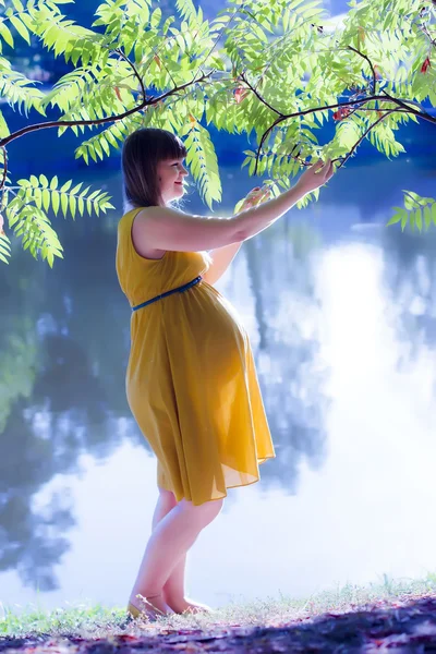 Gadis hamil yang cantik di alam — Stok Foto