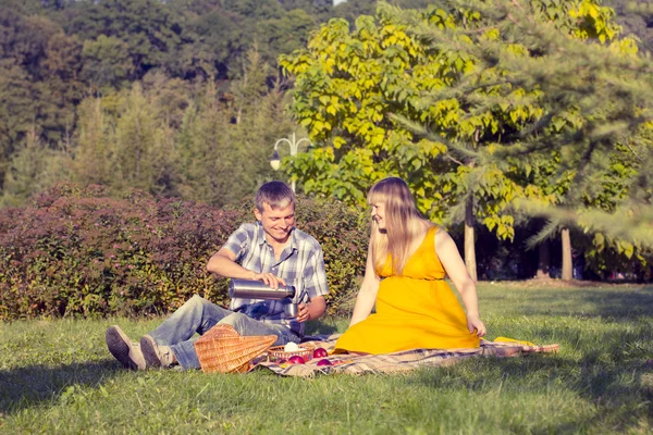 Giovane coppia incinta rilassarsi su un picnic nel parco — Foto Stock