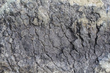 Çakıl taşlı soyut arkaplan - yuvarlak deniz taşları